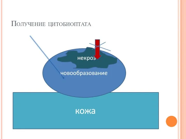 Получение цитобиоптата