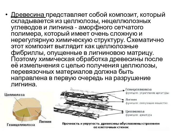 Древесина представляет собой композит, который складывается из целлюлозы, нецеллюлозных углеводов