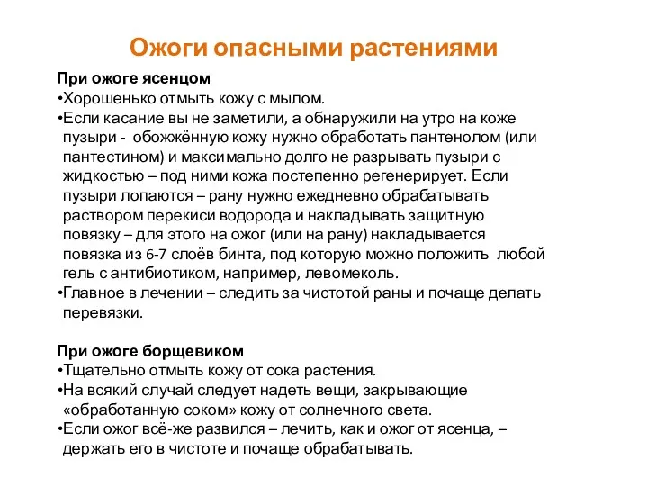 Ожоги опасными растениями При ожоге ясенцом Хорошенько отмыть кожу с мылом. Если касание