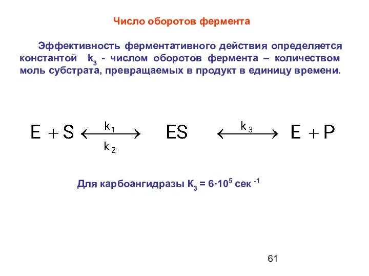 Для карбоангидразы К3 = 6·105 сек -1 Число оборотов фермента