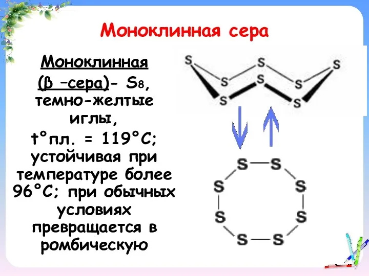 Моноклинная сера Моноклинная (β –сера)- S8, темно-желтые иглы, t°пл. =