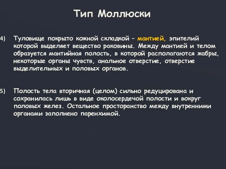 Тип Моллюски Туловище покрыто кожной складкой – мантией, эпителий которой выделяет вещество раковины.