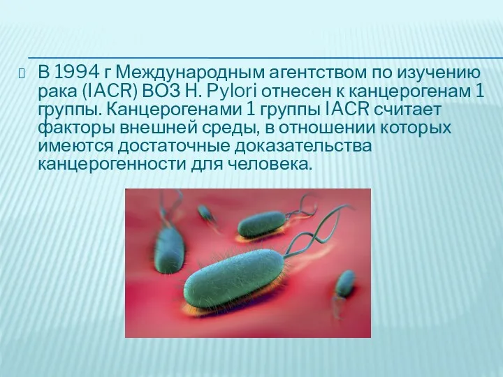 В 1994 г Международным агентством по изучению рака (IACR) ВОЗ H. Pylori отнесен