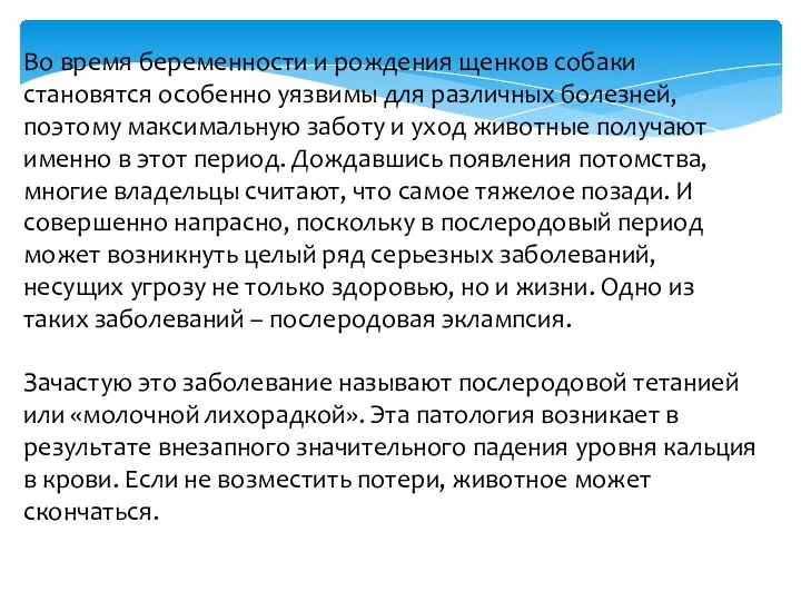 Во время беременности и рождения щенков собаки становятся особенно уязвимы