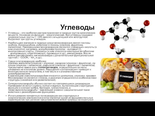 Углеводы Углеводы – это наиболее распространенная в природе группа органических