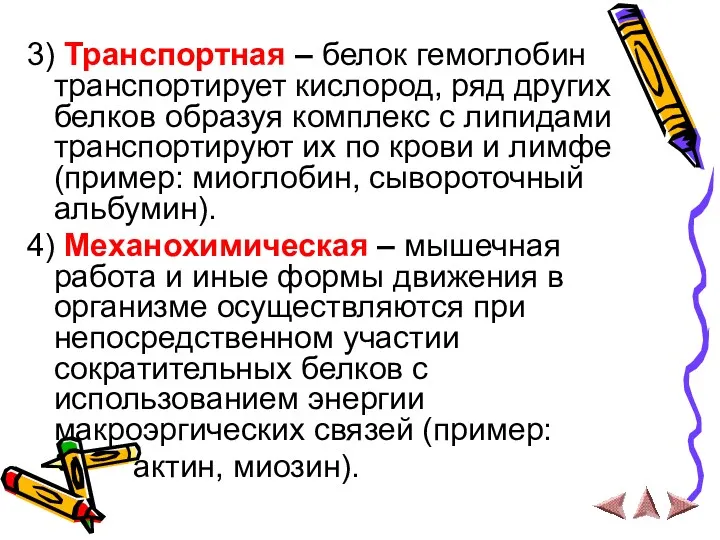 3) Транспортная – белок гемоглобин транспортирует кислород, ряд других белков