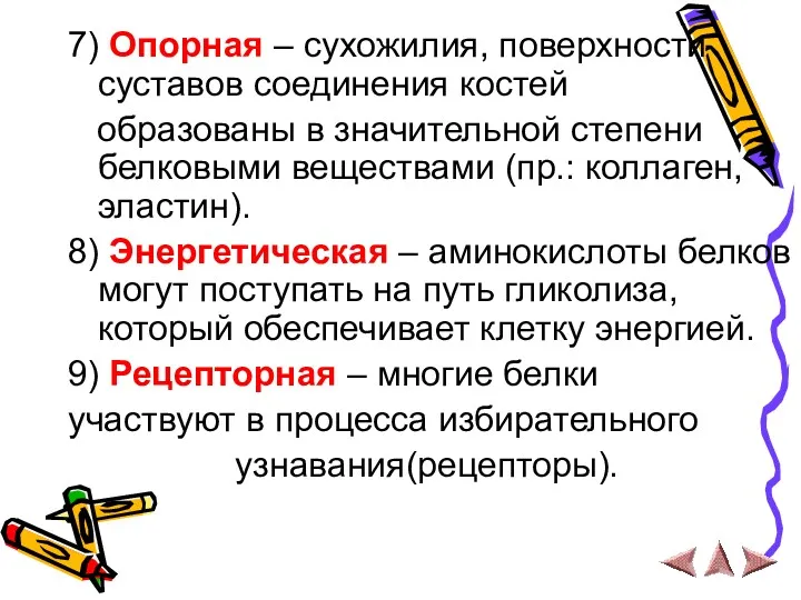 7) Опорная – сухожилия, поверхности суставов соединения костей образованы в