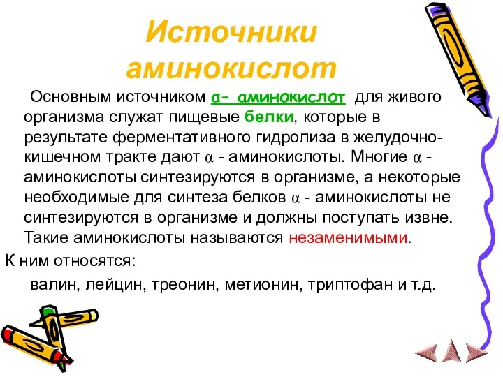 Источники аминокислот Основным источником α- аминокислот для живого организма служат