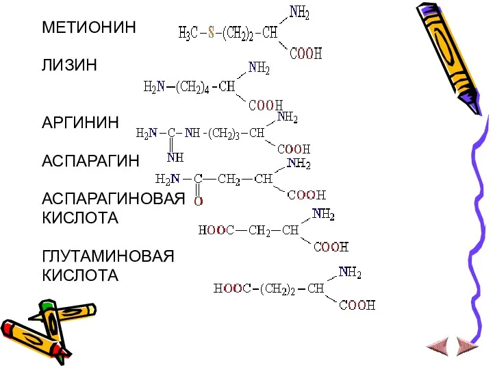 МЕТИОНИН ЛИЗИН АРГИНИН АСПАРАГИН АСПАРАГИНОВАЯ КИСЛОТА ГЛУТАМИНОВАЯ КИСЛОТА