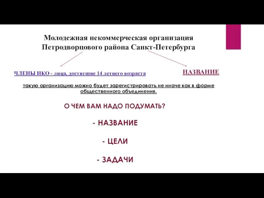 Молодежная некоммерческая организация Петродворцового района Санкт-Петербурга ЧЛЕНЫ НКО - лица,