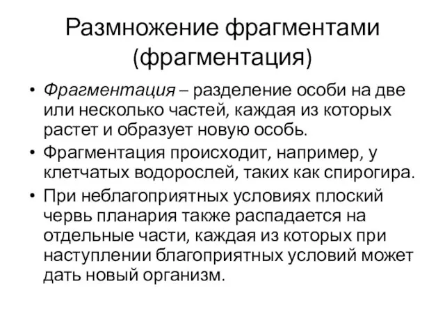 Размножение фрагментами (фрагментация) Фрагментация – разделение особи на две или