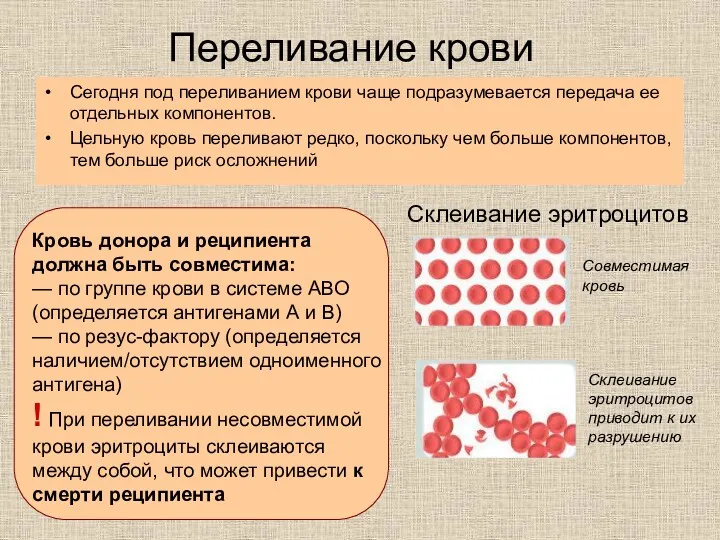 Переливание крови Сегодня под переливанием крови чаще подразумевается передача ее