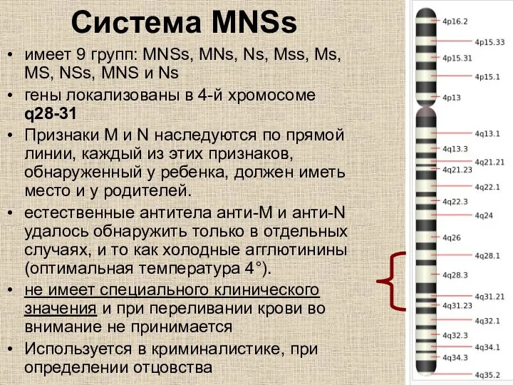 Система MNSs имеет 9 групп: MNSs, MNs, Ns, Mss, Ms,