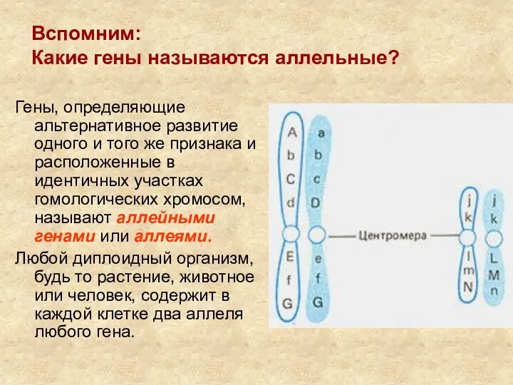 Вспомним: Какие гены называются аллельные? Гены, определяющие альтернативное развитие одного