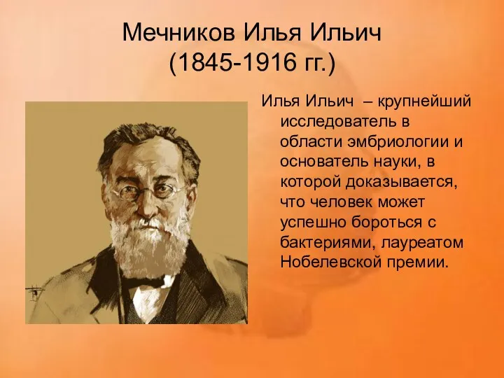 Мечников Илья Ильич (1845-1916 гг.) Илья Ильич – крупнейший исследователь