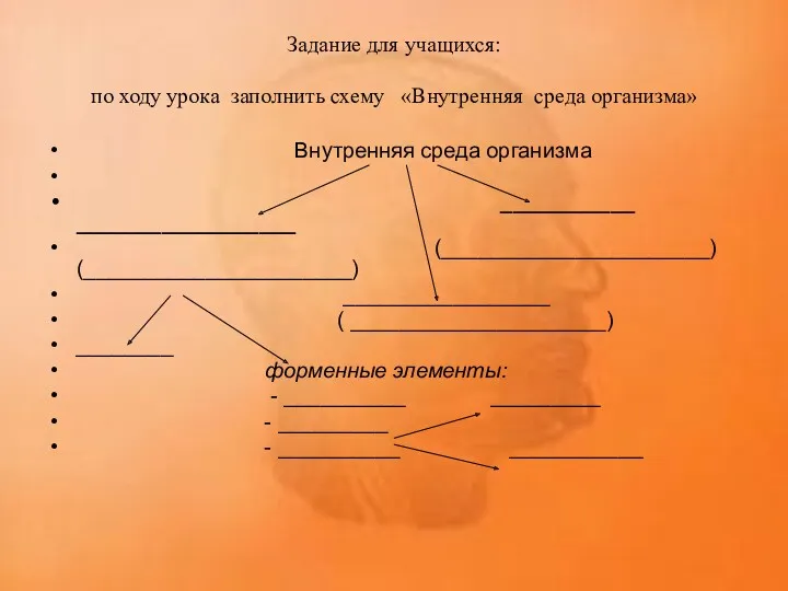 Задание для учащихся: по ходу урока заполнить схему «Внутренняя среда