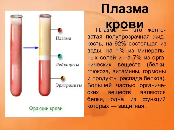 Плазма крови Плазма — это желто-ватая полупрозрачная жид-кость, на 92%