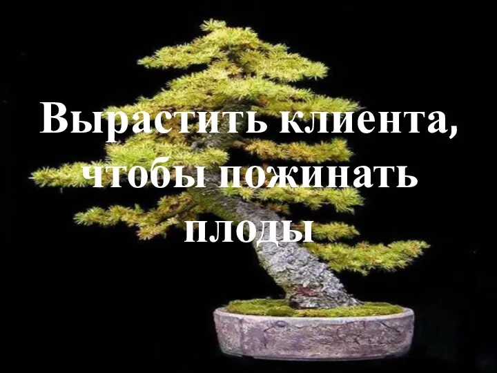 Вырастить клиента, чтобы пожинать плоды