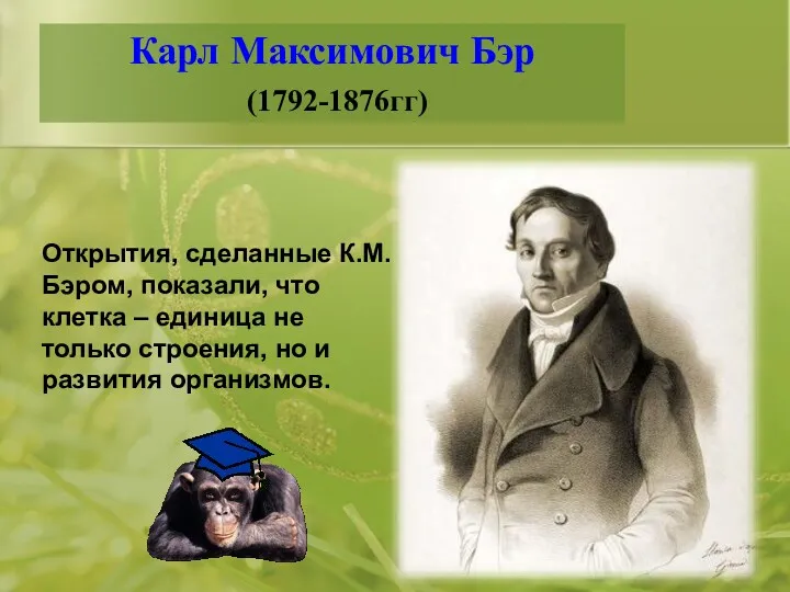 Карл Максимович Бэр (1792-1876гг) Открытия, сделанные К.М.Бэром, показали, что клетка – единица не