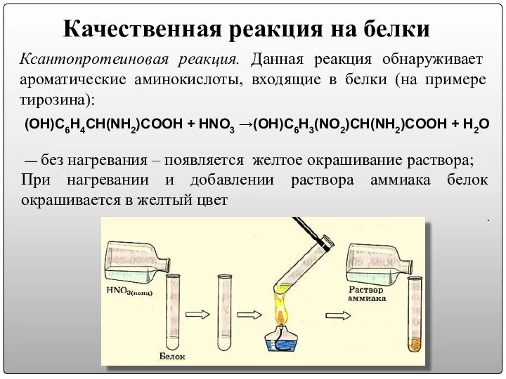 Качественная реакция на белки Ксантопротеиновая реакция. Данная реакция обнаруживает ароматические