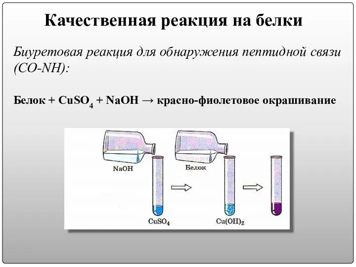 Качественная реакция на белки Биуретовая реакция для обнаружения пептидной связи