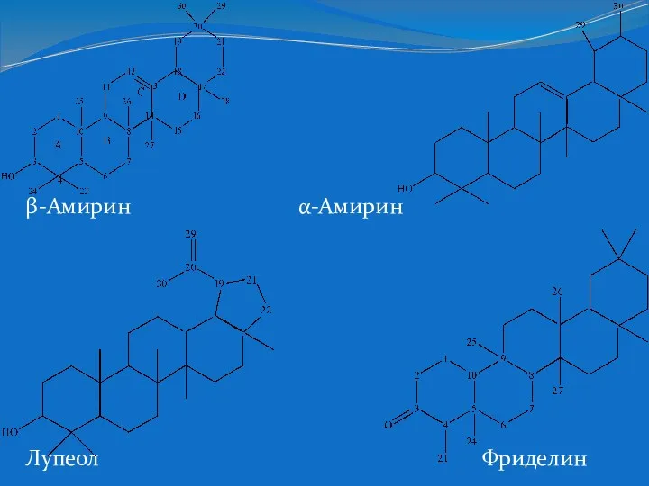 β-Амирин α-Амирин Лупеол Фриделин