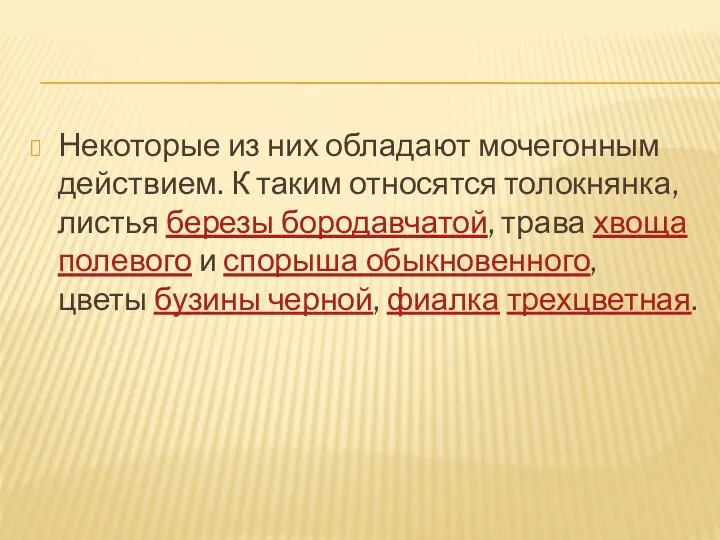 Некоторые из них обладают мочегонным действием. К таким относятся толокнянка, листья березы бородавчатой,