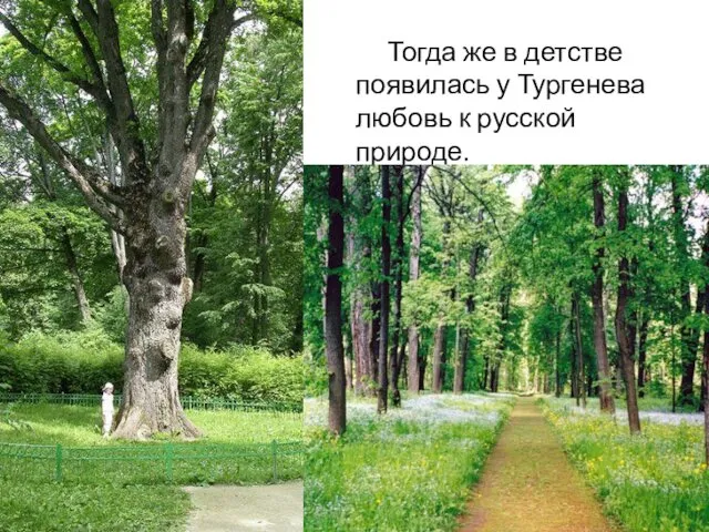 Тогда же в детстве появилась у Тургенева любовь к русской природе.
