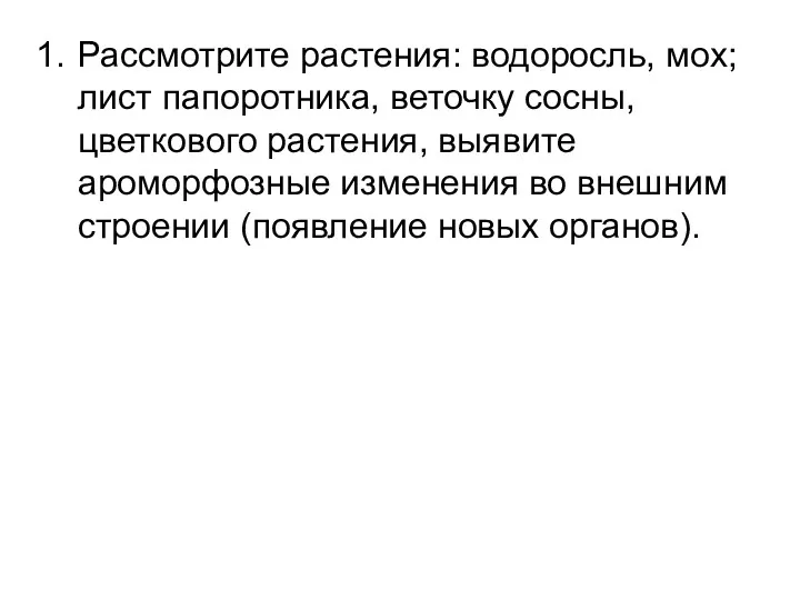 Рассмотрите растения: водоросль, мох; лист папоротника, веточку сосны, цветкового растения,