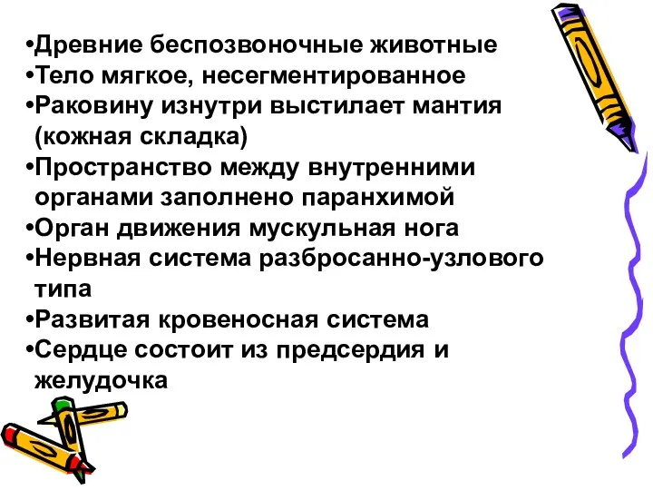 Древние беспозвоночные животные Тело мягкое, несегментированное Раковину изнутри выстилает мантия