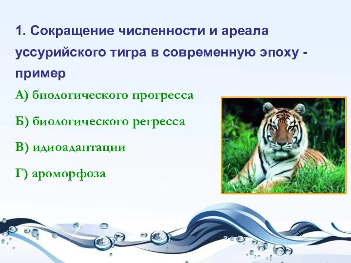 1. Сокращение численности и ареала уссурийского тигра в современную эпоху - пример А)