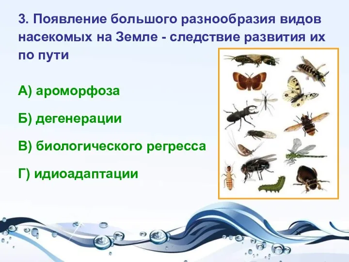 3. Появление большого разнообразия видов насекомых на Земле - следствие развития их по