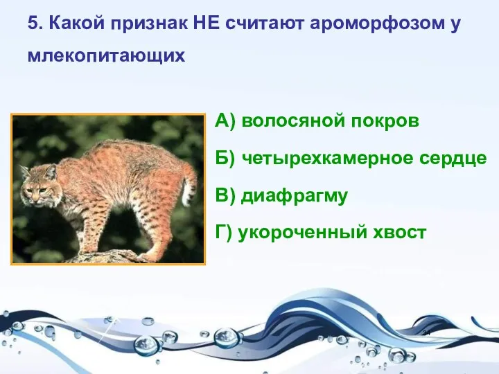 5. Какой признак НЕ считают ароморфозом у млекопитающих А) волосяной покров Б) четырехкамерное