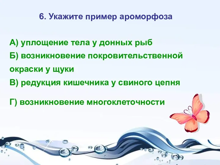6. Укажите пример ароморфоза А) уплощение тела у донных рыб