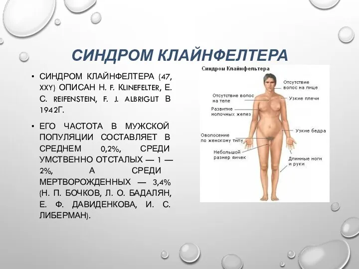 СИНДРОМ КЛАЙНФЕЛТЕРА СИНДРОМ КЛАЙНФЕЛТЕРА (47, XXY) ОПИСАН Н. F. КLINEFELTER,