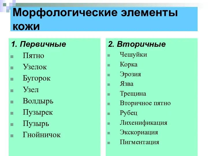 Морфологические элементы кожи 1. Первичные Пятно Узелок Бугорок Узел Волдырь