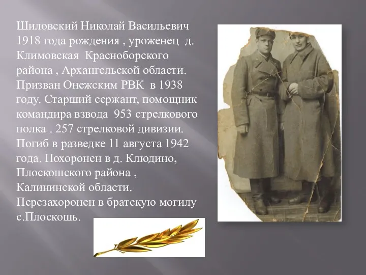 Шиловский Николай Васильевич 1918 года рождения , уроженец д. Климовская