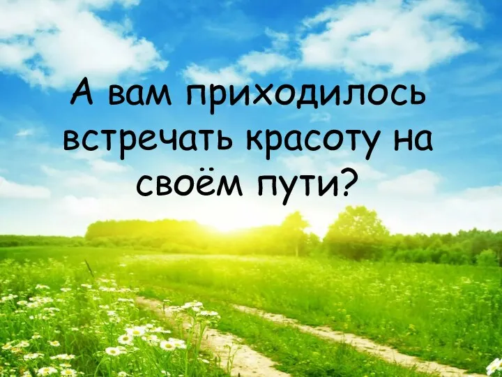 А вам приходилось встречать красоту на своём пути?