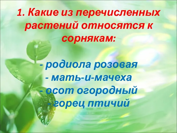 1. Какие из перечисленных растений относятся к сорнякам: - родиола