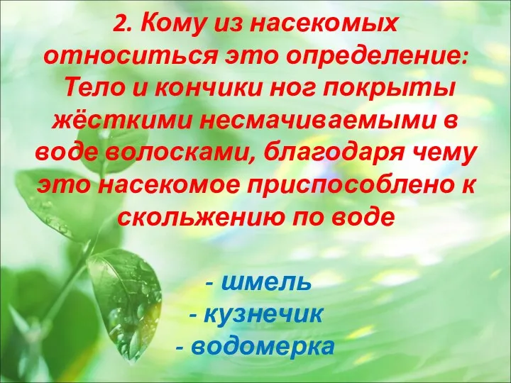 2. Кому из насекомых относиться это определение: Тело и кончики