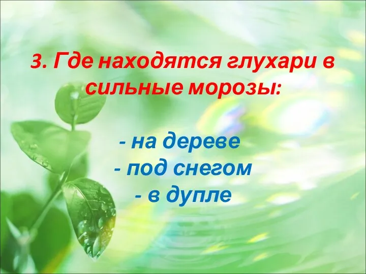 3. Где находятся глухари в сильные морозы: - на дереве - под снегом - в дупле