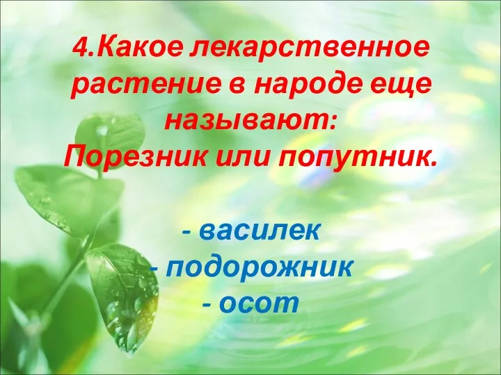 4.Какое лекарственное растение в народе еще называют: Порезник или попутник. - василек - подорожник - осот