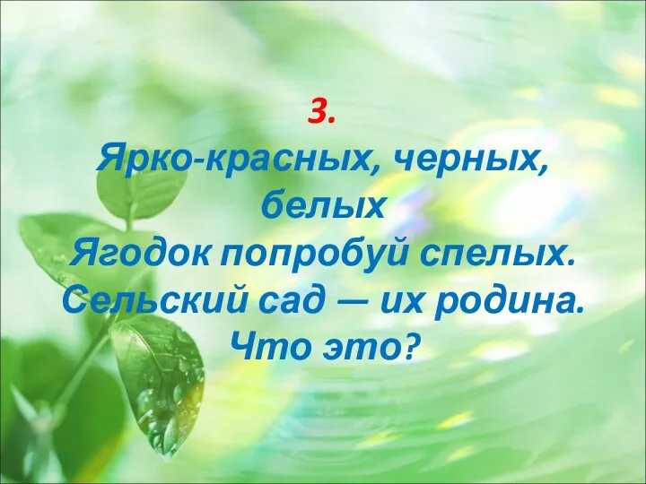 3. Ярко-красных, черных, белых Ягодок попробуй спелых. Сельский сад — их родина. Что это?