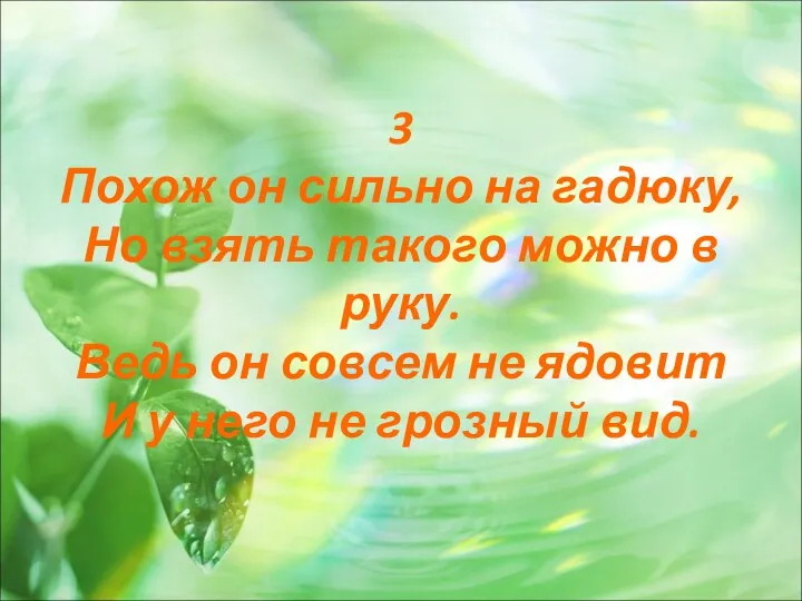 3 Похож он сильно на гадюку, Но взять такого можно