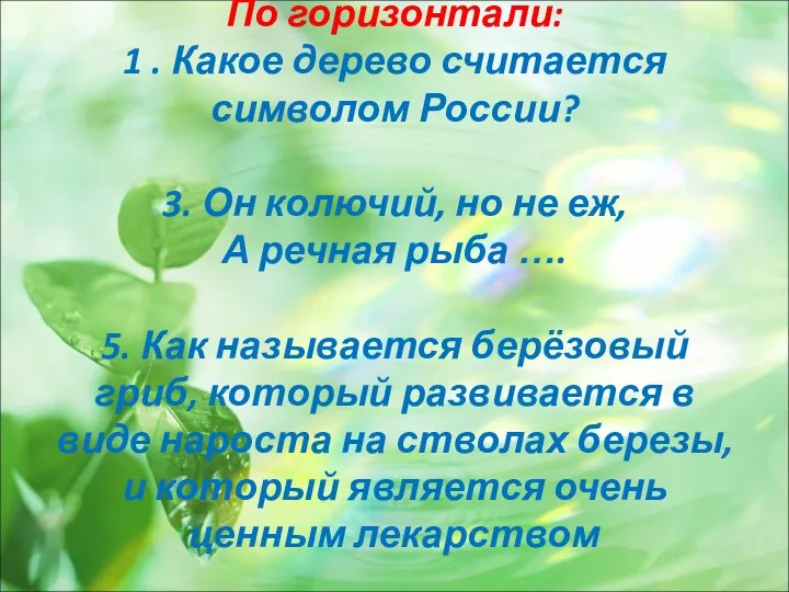 По горизонтали: 1 . Какое дерево считается символом России? 3.