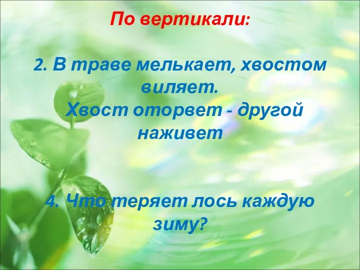 По вертикали: 2. В траве мелькает, хвостом виляет. Хвост оторвет