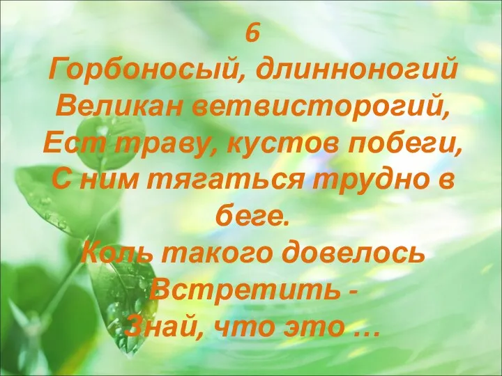 6 Горбоносый, длинноногий Великан ветвисторогий, Ест траву, кустов побеги, С