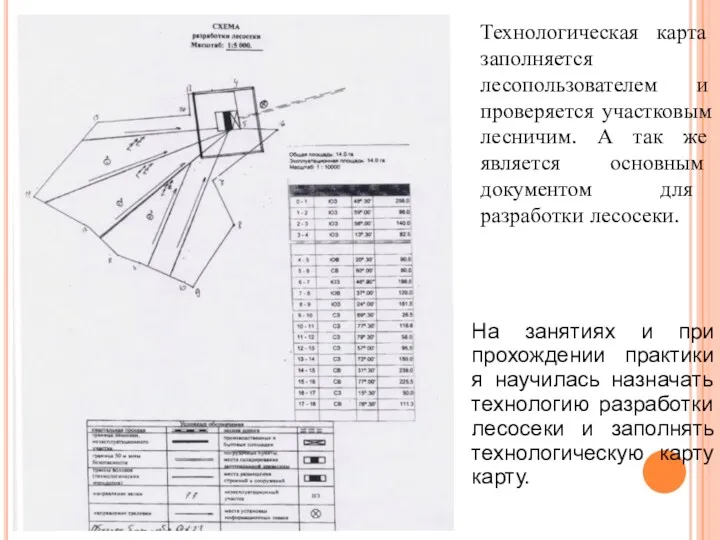 Технологическая карта заполняется лесопользователем и проверяется участковым лесничим. А так