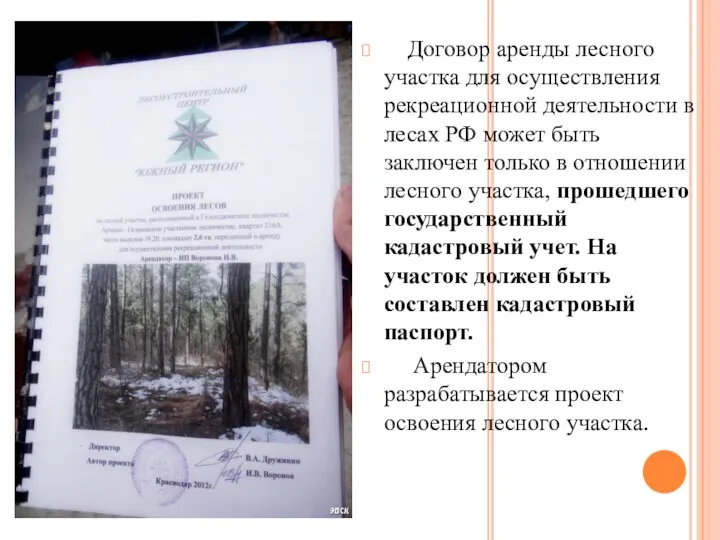 Договор аренды лесного участка для осуществления рекреационной деятельности в лесах