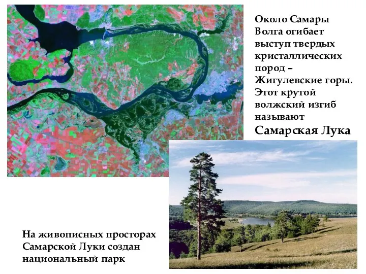 Около Самары Волга огибает выступ твердых кристаллических пород – Жигулевские